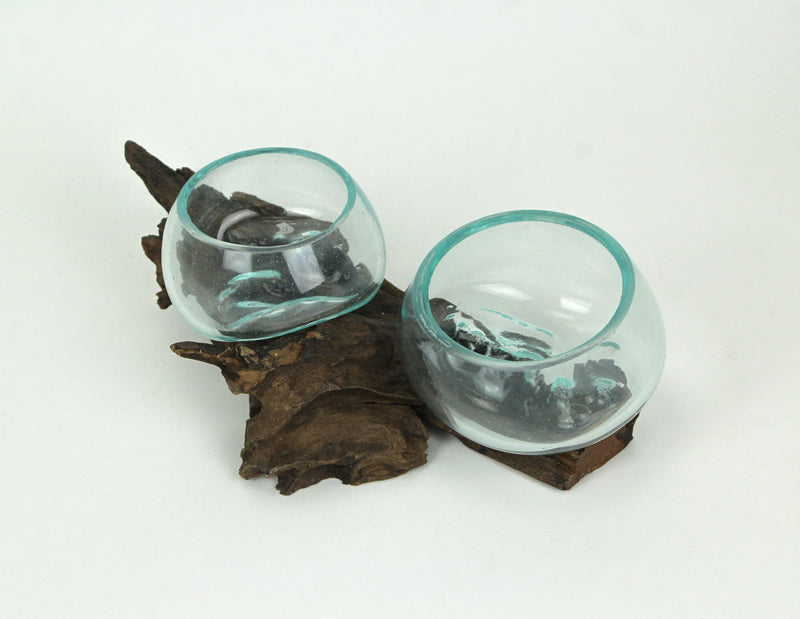 Molten Glass On Coffee Wood Root Double Decorative Bowl Vase Plant Terrarium Image 2