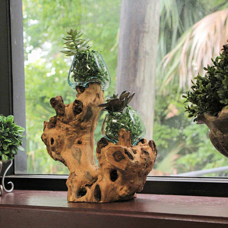Molten Glass On Root Wood Double Decorative Bowl Vase Plant Terrarium - Boho Style For Tabletops Image 6