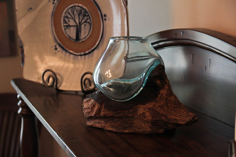 Molten Glass On Teak Driftwood Sculptural Bowl / Plant Terrarium Vase Image 3