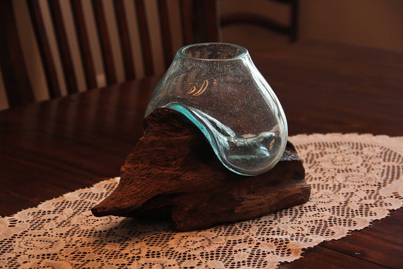 Molten Glass On Teak Driftwood Sculptural Bowl / Plant Terrarium Vase Image 4