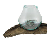 Molten Glass On Teak Driftwood Sculptural Bowl / Plant Terrarium Vase Image 2