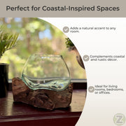 7 Inch - Image 5 - Zeckos Planter Terrarium with Molten Glass Bowl on Driftwood Base, Coastal Wood and Glass Tabletop