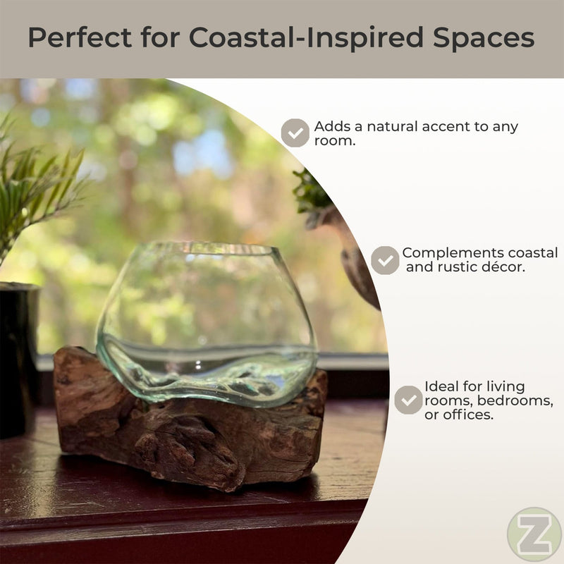 7 Inch - Image 5 - Zeckos Planter Terrarium with Molten Glass Bowl on Driftwood Base, Coastal Wood and Glass Tabletop