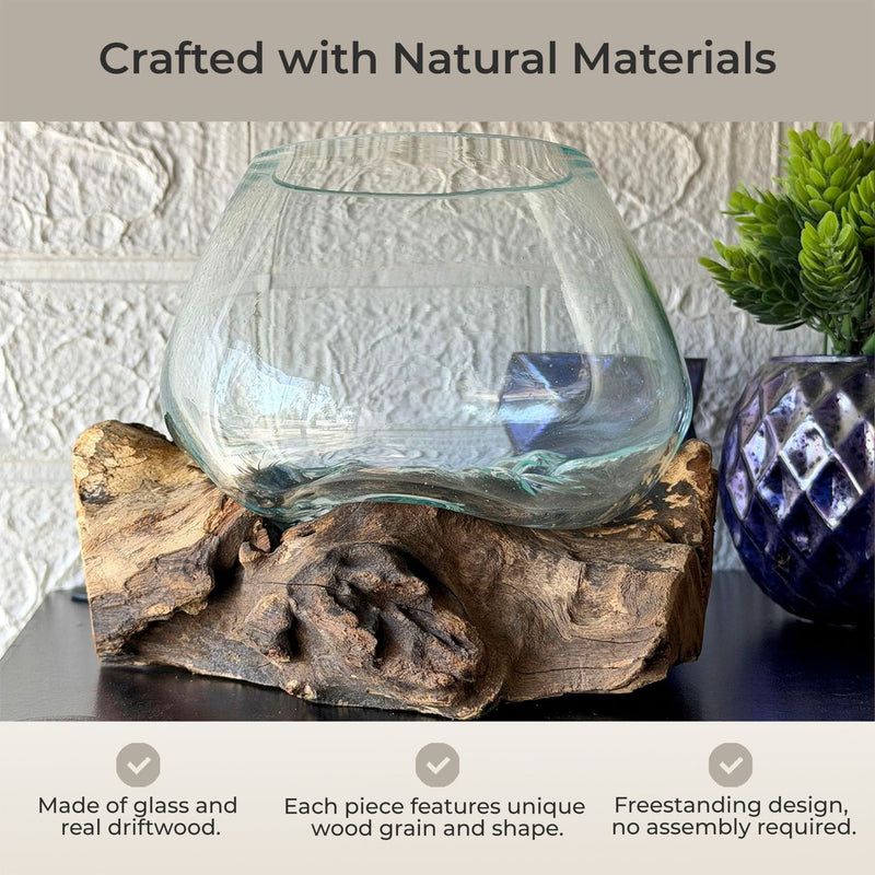 7 Inch - Image 6 - Zeckos Planter Terrarium with Molten Glass Bowl on Driftwood Base, Coastal Wood and Glass Tabletop