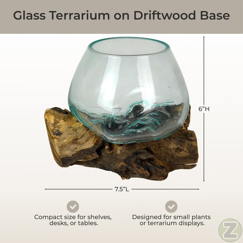 7 Inch - Image 4 - Zeckos Planter Terrarium with Molten Glass Bowl on Driftwood Base, Coastal Wood and Glass Tabletop