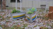 ZKO-99186-galvanized-metal-boat-planter-flower-pot-1A.mp4