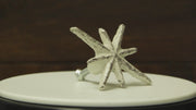 Mid-Century Starburst Cast Iron Drawer Pulls — White — product video