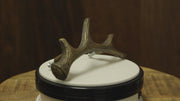Deer Antler Cast Iron Drawer Pulls, Set of 6, Bronze — product video