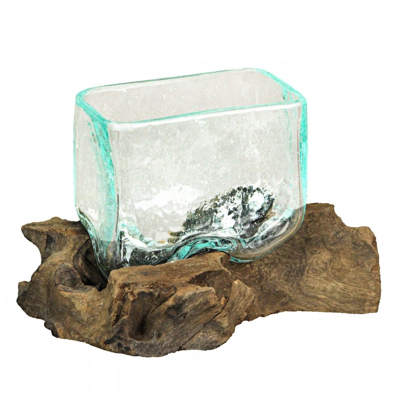 Rectangular Glass On Driftwood Decorative Bowl/Vase/Terrarium Succulent Planter Image 8