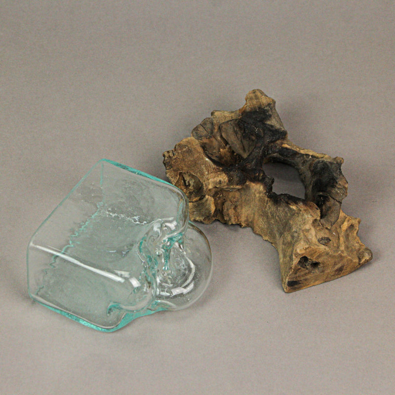 Rectangular Glass On Driftwood Decorative Bowl/Vase/Terrarium Succulent Planter Image 7