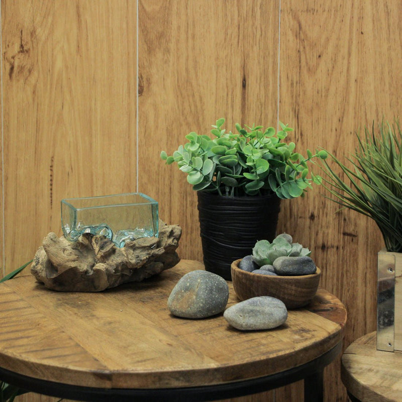 Rectangular Glass On Driftwood Decorative Bowl/Vase/Terrarium Succulent Planter Image 5