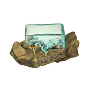 Rectangular Glass On Driftwood Decorative Bowl/Vase/Terrarium Succulent Planter Image 2