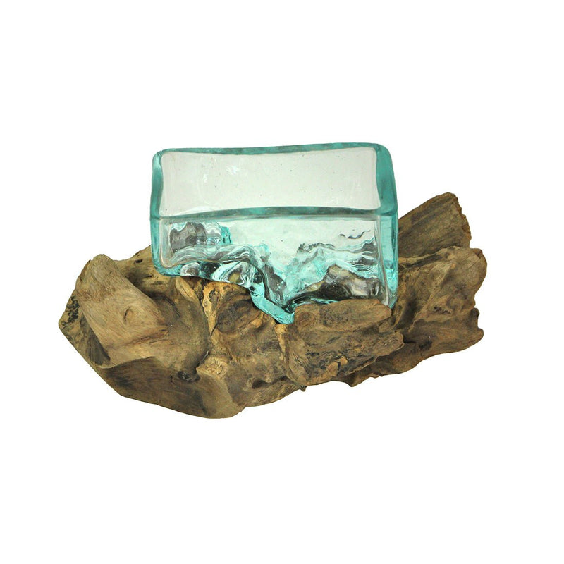 Rectangular Glass On Driftwood Decorative Bowl/Vase/Terrarium Succulent Planter Image 2