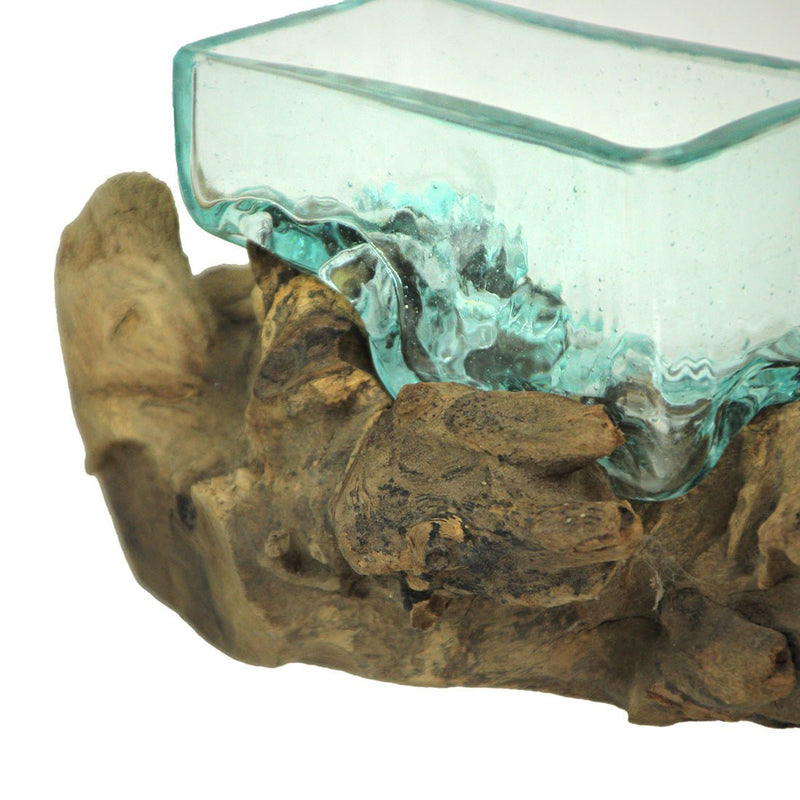Rectangular Glass On Driftwood Decorative Bowl/Vase/Terrarium Succulent Planter Image 3