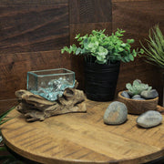 Rectangular Glass On Driftwood Decorative Bowl/Vase/Terrarium Succulent Planter Image 4
