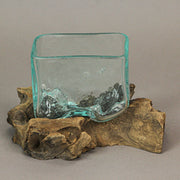 Rectangular Glass On Driftwood Decorative Bowl/Vase/Terrarium Succulent Planter Image 6