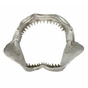 Replica Shark Jaw Wall Sculpture – Realistic Resin Shark Jaws with Teeth, Off-White Coastal Nautical Wall Art, Marine Ocean