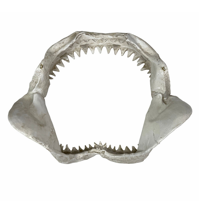 Replica Shark Jaw Wall Sculpture – Realistic Resin Shark Jaws with Teeth, Off-White Coastal Nautical Wall Art, Marine Ocean