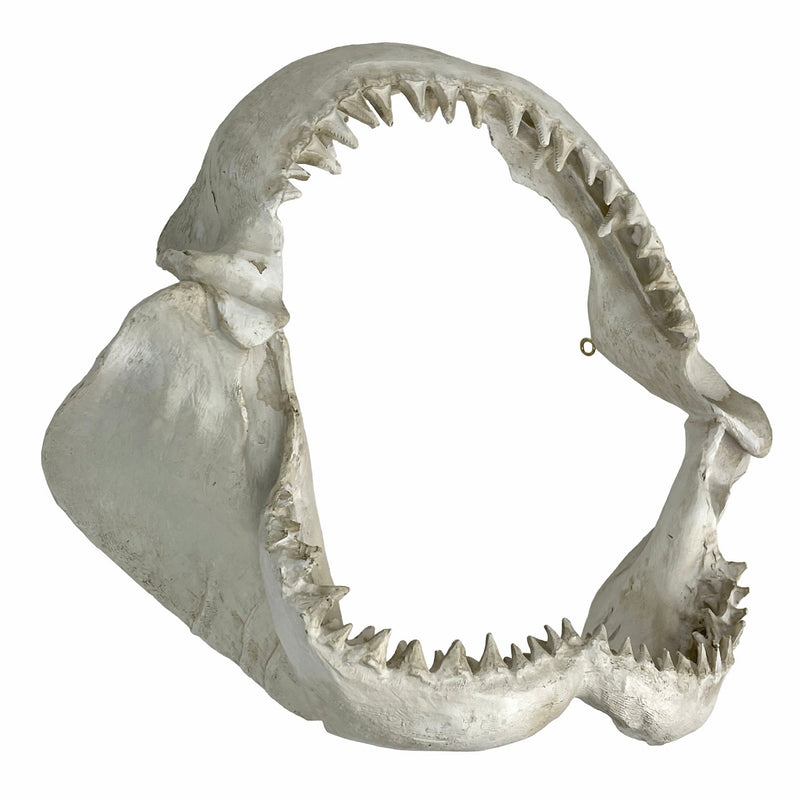 Replica Shark Jaw Wall Sculpture – Realistic Resin Shark Jaws with Teeth, Off-White Coastal Nautical Wall Art, Marine Ocean