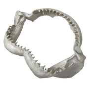 Replica Shark Jaw Wall Sculpture – Realistic Resin Shark Jaws with Teeth, Off-White Coastal Nautical Wall Art, Marine Ocean