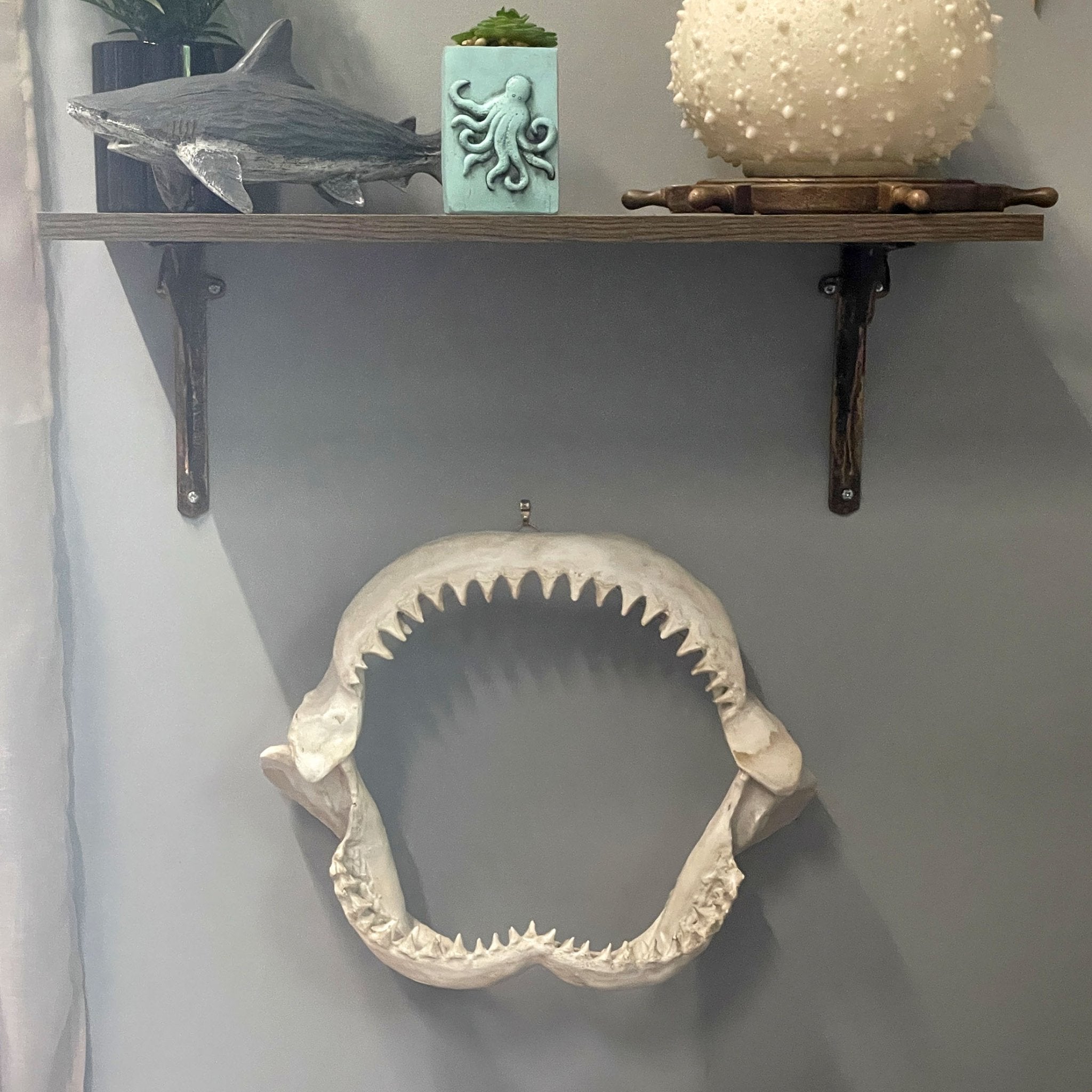 シャーク　マウス　スカル　オブジェ Replica Shark Jaw Wall Sculpture — Zeckos