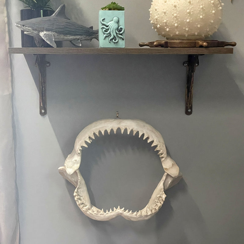 Replica Shark Jaw Wall Sculpture – Realistic Resin Shark Jaws with Teeth, Off-White Coastal Nautical Wall Art, Marine Ocean
