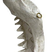 Replica Shark Jaw Wall Sculpture – Realistic Resin Shark Jaws with Teeth, Off-White Coastal Nautical Wall Art, Marine Ocean