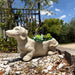 Grey - Image 4 - Charming Rustic Distressed Grey Stone Finish Dachshund Dog Indoor or Outdoor Decor Planter Doxie Plant Pot -