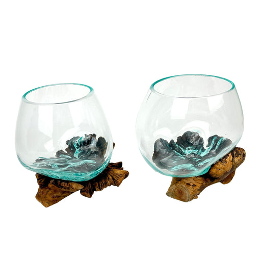 Set of 2 Glass and Gamal Root Wood Decorative Bowls, Vases, and Terrarium Planters - Great for Bedrooms, Living Rooms and