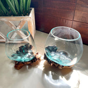 Set of 2 Glass and Gamal Root Wood Decorative Bowls, Vases, and Terrarium Planters - Great for Bedrooms, Living Rooms and