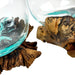 Set of 2 Glass and Gamal Root Wood Decorative Bowls, Vases, and Terrarium Planters - Great for Bedrooms, Living Rooms and
