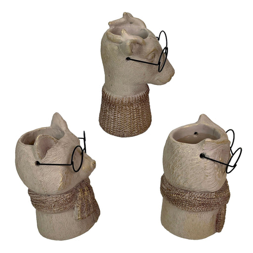 Set of 3 Bespectacled Animal Cement Vases – Fox, Owl, Deer, Gold Accents, Knit Textured Scarves, Real Wire Glasses, Whimsical