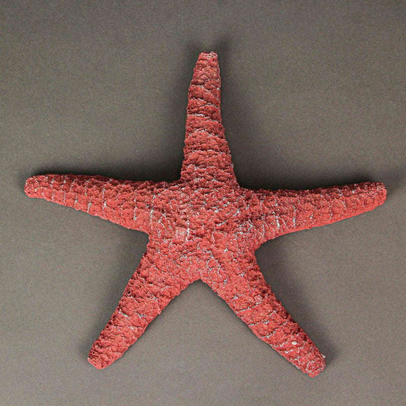 Set of 3 Resin Starfish Wall Hanging Sculptures Coastal Home Decor Beach Art Image 7