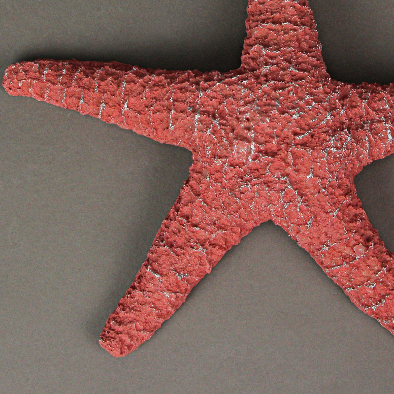 Set of 3 Resin Starfish Wall Hanging Sculptures Coastal Home Decor Beach Art Image 11