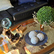 Zeckos Set of 3 Resin Decorative Balls with Palm Leaf, Banana Leaf and Shell Motifs, 4.5 Inches Tall, Distressed Whitewash
