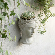 Weathered Gray Greek Lady Statue Wall Mount Cement Head Planter 6 Inches High Image 4