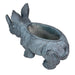 Grey - Image 9 - Charming Grey Rhino MGO Planter with Drain Holes, 18.5 inches - Weather-Resistant Magnesium Oxide for Garden