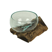 Wide Mouth Molten Glass on Teak Driftwood Decorative Sculptural Bowl, Vase, and Terrarium Planter - Approximately 6 Inches