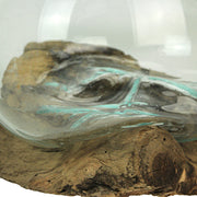 Wide Mouth Molten Glass on Teak Driftwood Decorative Sculptural Bowl, Vase, and Terrarium Planter - Approximately 6 Inches