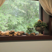 Wide Mouth Molten Glass on Teak Driftwood Decorative Sculptural Bowl, Vase, and Terrarium Planter - Approximately 6 Inches