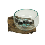 Wide Mouth Molten Glass on Teak Driftwood Decorative Sculptural Bowl, Vase, and Terrarium Planter - Approximately 6 Inches