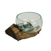 Wide Mouth Molten Glass on Teak Driftwood Decorative Sculptural Bowl, Vase, and Terrarium Planter - Approximately 6 Inches
