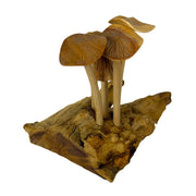 4.5 inches - Image 3 - Things2die4 Decorative Mushroom Figurine Sculpture in Natural Wood on Root Base, 4.5 Inch Freestanding