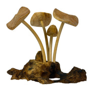 6 inches - Image 5 - Things2die4 Decorative Mushroom Figurine in Natural Wood on Root Base, Freestanding Nature-Inspired