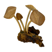 6 inches - Image 2 - Things2die4 Decorative Mushroom Figurine in Natural Wood on Root Base, Freestanding Nature-Inspired