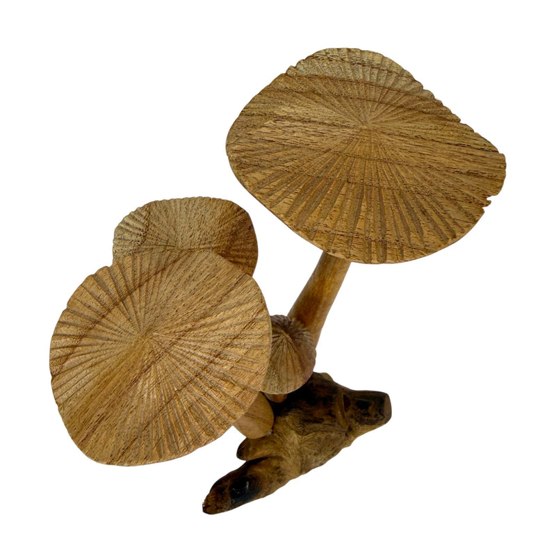 8.5 inches - Image 4 - Things2die4 Decorative Mushroom Figurine in Natural Wood on Root Base, 8.5 Inch Freestanding Sculpture