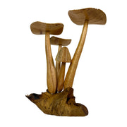8.5 inches - Image 5 - Things2die4 Decorative Mushroom Figurine in Natural Wood on Root Base, 8.5 Inch Freestanding Sculpture