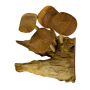 4.5 inches - Image 4 - Things2die4 Decorative Mushroom Figurine Sculpture in Natural Wood on Root Base, 4.5 Inch Freestanding