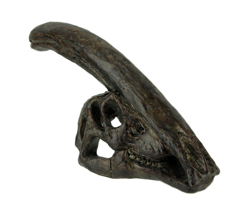 Zeckos 8 Inch Parasaurolophus Dinosaur Skull Fossil Statue, Small Brown Resin Dino Head Replica, Jurassic Science Decor for
