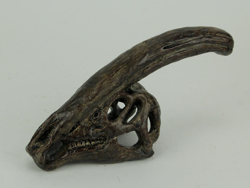 Zeckos 8 Inch Parasaurolophus Dinosaur Skull Fossil Statue, Small Brown Resin Dino Head Replica, Jurassic Science Decor for